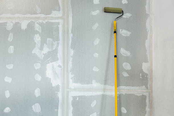 Best Mold Odor Removal Services  in Bethlehem Village, CT