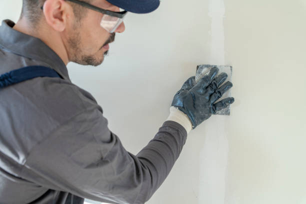 Best Mold Remediation for Rental Properties  in Bethlehem Village, CT
