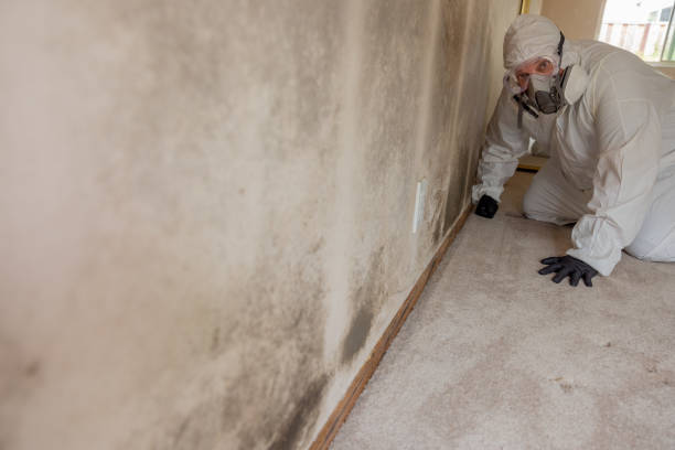 Best Forensic Mold Investigation  in Bethlehem Village, CT