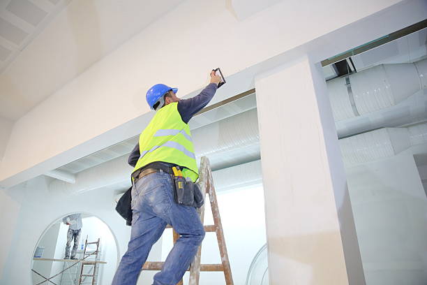 Best Basement Mold Removal  in Bethlehem Village, CT